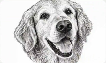 Portrait artwork for approval
