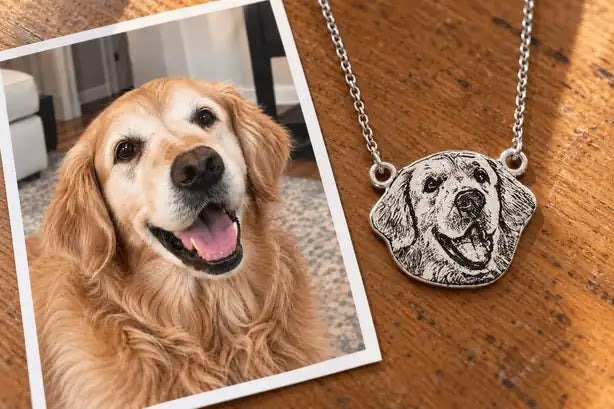 FurEver™ Custom Pet Necklace
