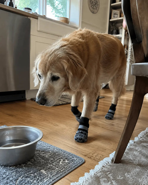 Steady Paws™ Anti-Slip Dog Socks
