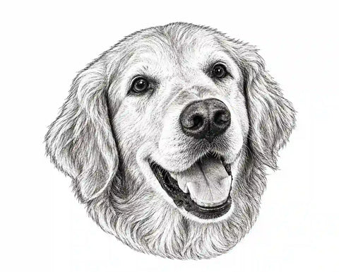 Portrait proof before engraving